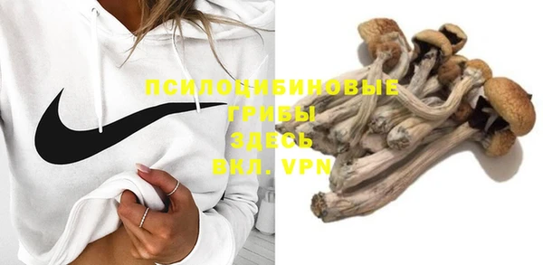 эйфоретик Алзамай