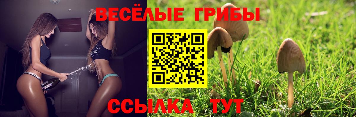 Бирск  Псилоцибиновые грибы ЛСД  Вход с VPN 